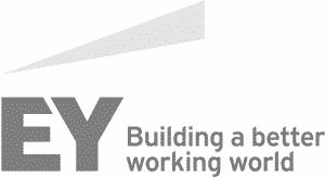 ey building better working world